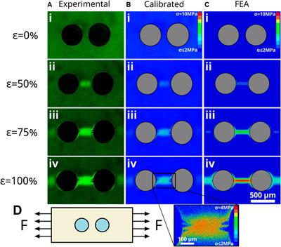 Stress quantification in a composite matrix via mechanophores